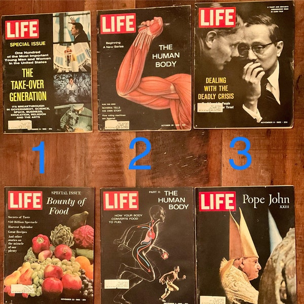 Variety of 30 Vintage Collectible 1960s Life Magazines - Pick Your Favorite!