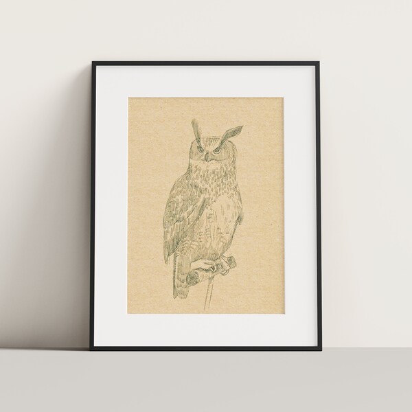 owl on a branch printable version. copy of original graphics with black gel pen on brown paper
