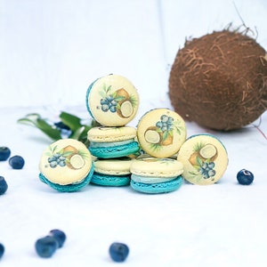 CoCo♡106HAVE A SEAT&exiciting macaron 25 Pack Blue Coconut French