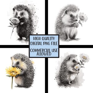 Quatre HEDGEHOG color splash Clipart - - Planificateur numérique, Junk Journaling, Aquarelle Art, Wall Art, Utilisation commerciale - Téléchargement numérique