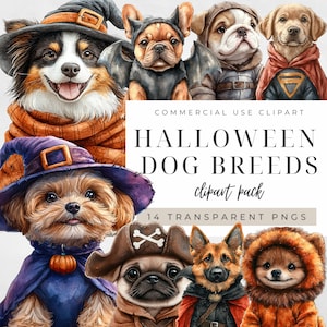 Clipart de races de chiens d'Halloween, Shih tzu effrayant mignon, graphisme Collie, lot commercial bouledogue Français, Costume aquarelle téléchargement immédiat