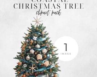 Coastal Christmas Tree Clipart, SINGLE IMAGE Festive Tropical Holiday Art, Sea Shell Beach Commercial Use Graphic, Art Digital Prints,300DPI