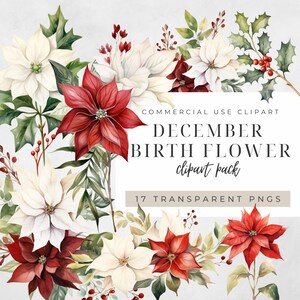 Clipart de aquarela de flor de nascimento de dezembro, aniversário de poinsétia de feriado, pacote de artesanato de uso comercial de azevinho, impressões digitais de narciso, 300DPI