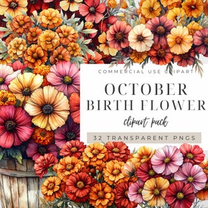 Estampas de flores de outubro, clipart floral de outono, flores de nascimento em aquarela, pacote de uso comercial, PNG transparente, Junk Journal, impressões artísticas, 300DPI