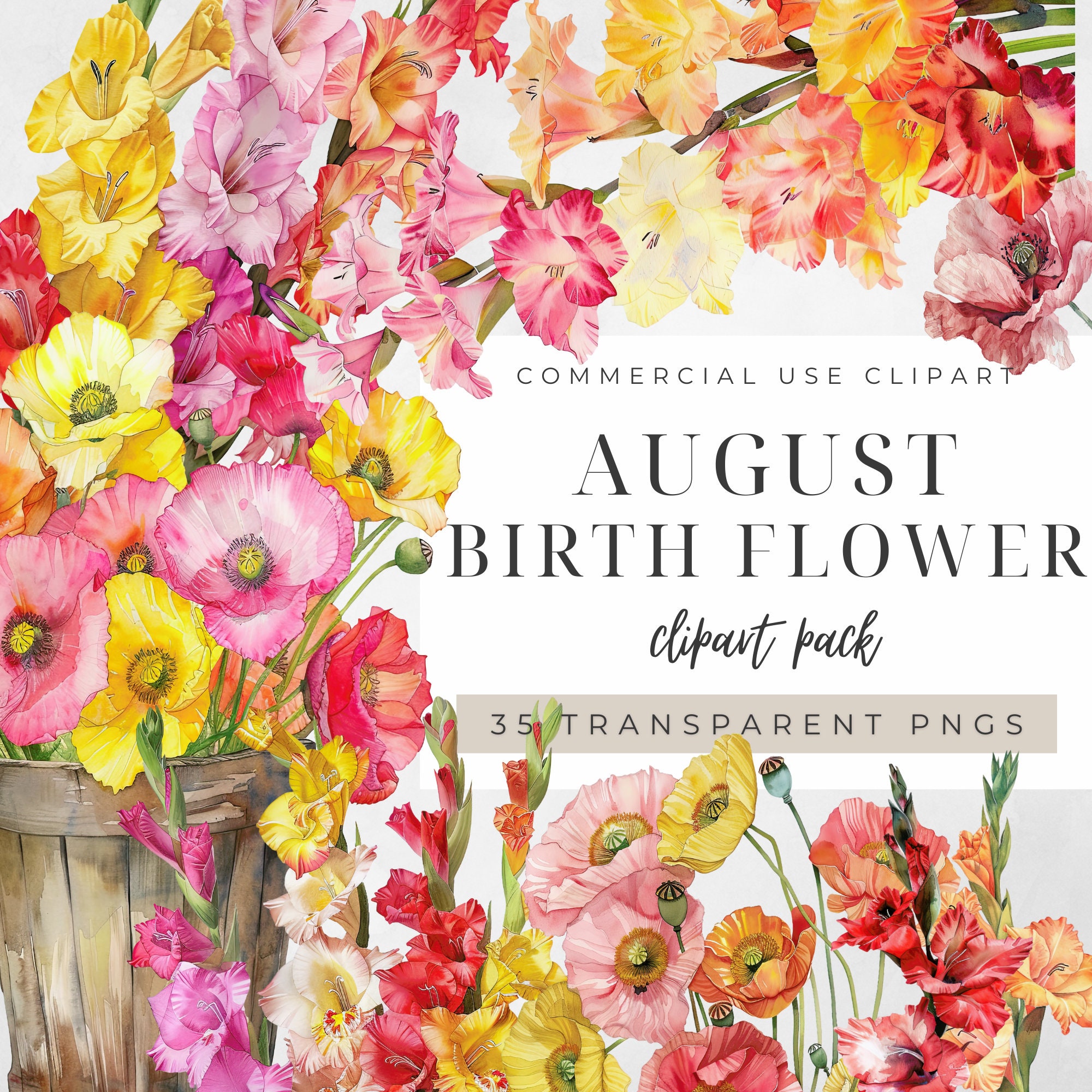 August Birth Flower Clipart, Gladiolus Poppy Floral Graphics, Summer