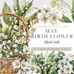 Clipart fleur de naissance mai, muguet Png, aubépine fleurie cadeau fête des mères cadeau commercial Bundle, aquarelle botanique printemps été