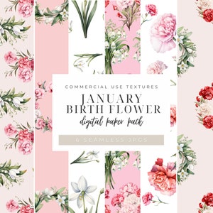 Papel digital de flor de nacimiento de enero, conjunto personalizado de clavel de invierno, paquete de uso comercial de cumpleaños de campanilla de nieve, conjunto gráfico de corona floral, 300DPI