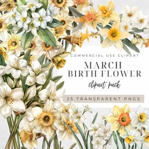 Clipart fleur de naissance mars, jonquille jonquille aquarelle Png, botanique vintage jardin anniversaire Commercial Bundle, graphiques floraux de mariage