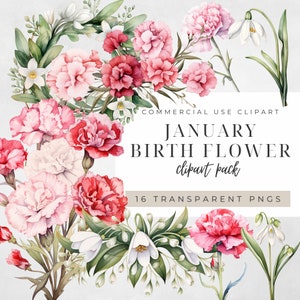 Imágenes prediseñadas de flores de nacimiento de enero, ramo de claveles de acuarela, paquete de uso comercial de cumpleaños de campanillas, impresiones digitales de coronas florales, 300DPI