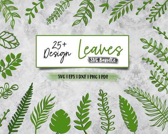 Leaves SVG Bundle: Paper Flower Decor, Cricut Silhouette (Digital Product)