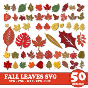 Puede incluir: Una colección de 50 diseños de hojas de otoño en varios colores, incluyendo rojo, naranja, amarillo y verde. La imagen incluye diferentes formas y estilos de hojas, con el texto "FALL LEAVES SVG" y formatos de archivo.