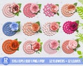 Rolled flower SVG, 3d Flower SVG, Rolled Flower SVG, Paper Flower Svg Digital Download, Digital Paper Svg, Pdf, Jpg 300 dpi Gifts Decoration