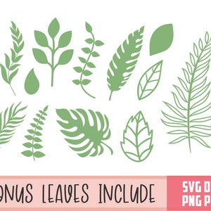 Pu&ograve; includere: Un set di 12 file di taglio SVG di foglie verdi, perfetti per progetti di artigianato. Le foglie sono di varie forme e dimensioni, tra cui foglie di palma, foglie di felce e foglie di monstera.