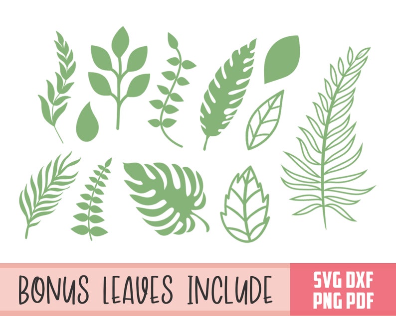 Pu&ograve; includere: Un set di 12 file di taglio SVG di foglie verdi, perfetti per progetti di artigianato. Le foglie sono di varie forme e dimensioni, tra cui foglie di palma, foglie di felce e foglie di monstera.