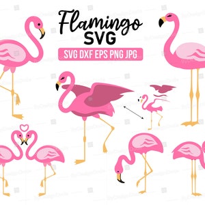 Flamingo SVG, Liebe Flamingo, Flamingo Clipart für tropische Sommer Strand Bastelprojekte, SVG, Png, rosa Vogel Png, rosa Flamingo Sommer svg