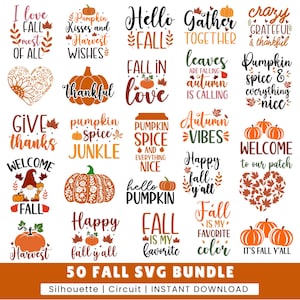 Op de afbeelding: Een verzameling herfst-thema SVG-ontwerpen met zinnen als "Hello Fall" en "Pumpkin Spice". De ontwerpen bevatten pompoenen, bladeren en herfstgerelateerde tekst in verschillende lettertypen en stijlen. De bundel bevat 50 ontwerpen.