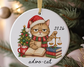 Lawyer Ornament For Attorney Funny Christmas Gift For Lawyer From Client Esquire Gift New Lawyer Ornament Attorney Law School Graduate Gift