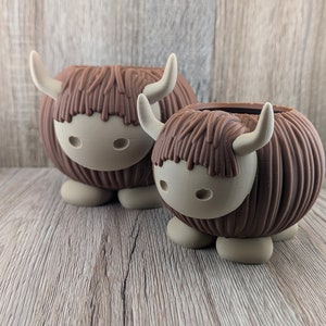 Highland Cow-plantpot | Dierenplanter | Sappig | Bloempot voor binnen