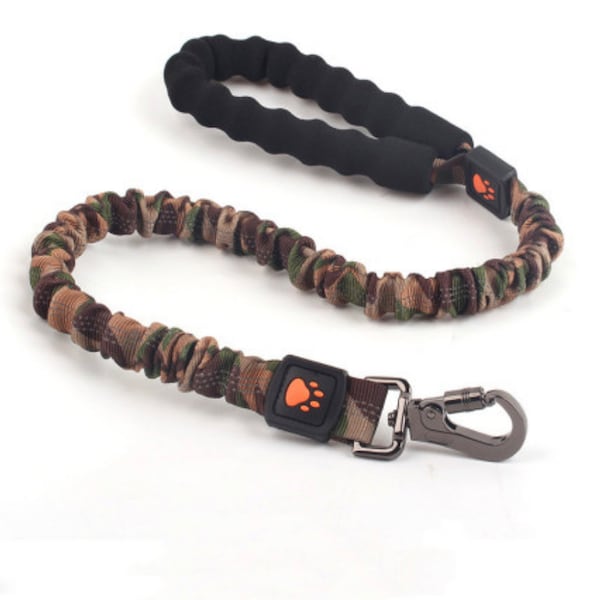 Elastic leash for large dogs