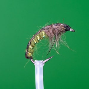 Pesado Czech Nymph Olive Sz 12 BL Barbless River Stillwater Fly Fishing Trout Flies Grayling