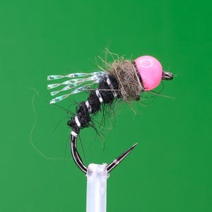 Hot Head Pink Bead BRB 1 Black Nymph Size 12BL Barbless Trout Fly Fishing Flies Euronymphing