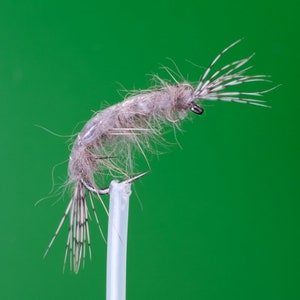 Gammarus Fresh Water Shrimp Weighted Trout Grayling Fly Fishing Flies Size 10BL Barbless