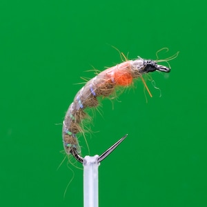 Czech Nymph Olive and Orange Size 10 Weighed Barbless Stillwater Fly Fishing Trout Flies River  Bugs