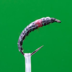 Czech Nymphs Bibbio Size 10BL Barbless River Fly Fishing Flies Trout Grayling Euronymphing