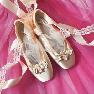 Decorative Bloch Pointe Shoes: Roses, Lace, Ballet Decor