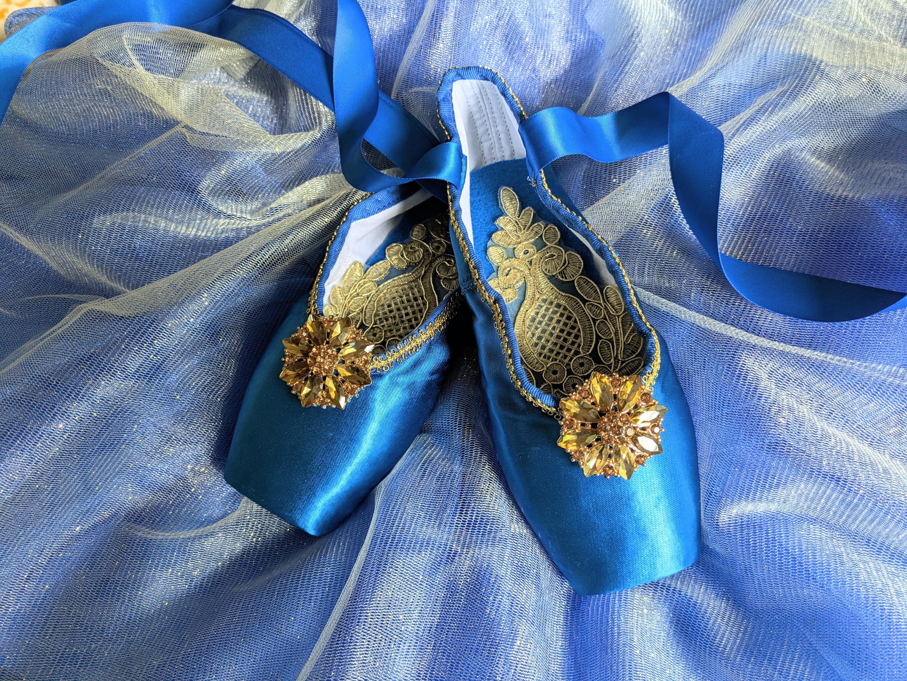 Royal Blue and Gold Shoes