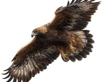 May include: A detailed illustration of a golden eagle in flight, wings spread wide. The eagle's feathers are a mix of brown and tan, with a sharp beak and focused gaze. The image is set against a clean white background.