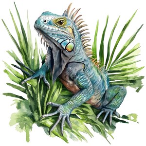5x Iguana-klistermärkesset, 5 delar, Gecko-bilklistermärken, Reptildekoration, Vinyl, Vattentät, Ödla, Terrariumpresent