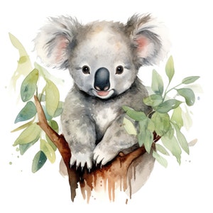 Naklejka akwarelowa Koala Personalizowana naklejka winylowa odporna na promieniowanie UV na zewnątrz wykonana z wysokiej jakości folii Orafol