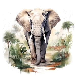 Peut inclure: Peinture à l'aquarelle d'un éléphant marchant vers le spectateur. L'éléphant est gris avec de grandes oreilles et de longues défenses blanches. Une végétation luxuriante et des palmiers entourent l'éléphant, avec un arrière-plan flou.