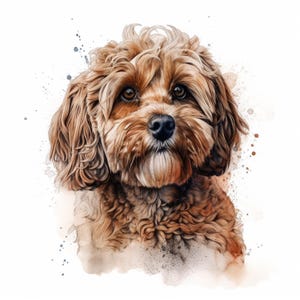 Peut inclure: Portrait à l'aquarelle d'un chien Cavapoo, avec une fourrure brune et des yeux expressifs. Les coups de pinceau détaillés mettent en valeur le pelage du chien, avec des éclaboussures d'aquarelle en arrière-plan. L'œuvre capture l'allure amicale du chien.