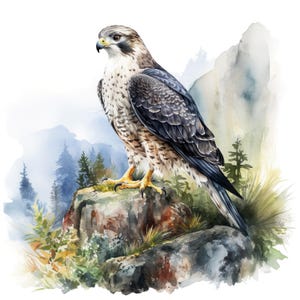 2X Falken Aquarell Aufkleber Personalisierbar Outdoor Vinyl Sticker