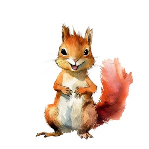 Könnte beinhalten: Aquarellillustration eines fröhlichen Eichhörnchens. Das Eichhörnchen hat orangebraunes Fell, einen flauschigen roten Schwanz und steht aufrecht mit den Pfoten nach vorne. Das Eichhörnchen lächelt mit herausgestreckter Zunge und hat schwarze Augen und lange Schnurrhaare.