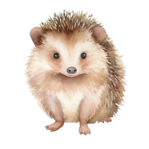 Adesivo Riccio Felice Adesivo Animale Acquerello Cartone Animato Stampa Digitale