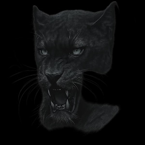 May include: A detailed, monochrome illustration of a black panther's head against a black backdrop. The panther is snarling, with its mouth open, revealing sharp teeth. Its eyes are a light blue, and its fur is textured.