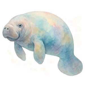 May include: Watercolor illustration of a manatee with a pastel rainbow color scheme. The aquatic mammal is depicted with a light gray body and colorful hues of blue, pink, yellow, and purple. The manatee is facing slightly to the left.