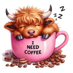 Highland Cow & Coffee Sticker – Cute Highland Cow as a wall sticker and car sticker