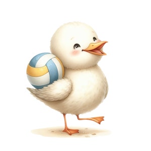 Pegatinas divertidas de gaviotas, pegatinas de pájaros humorísticos, decoración costera, gaviotas de acuarela, pegatinas de pájaros de dibujos animados, regalo de playa, pegatinas de vida marina