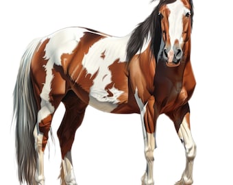 2x American Paint Horse Car Stickers for Horse Lovers – Western Rider Stickers – Horse Stickers for Car Rear Window Horse Stickers