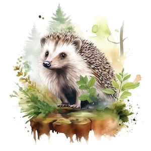 Pegatina de erizo feliz, pegatina de animal de acuarela, linda impresión digital de dibujos animados