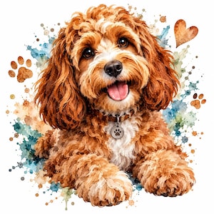 Op de afbeelding: Een aquarelillustratie van een krulharige bruin-witte hond met een vrolijke uitdrukking, tong uit de mond en donkere ogen. De hond draagt een halsband met een ronde penning met een pootafdruk. Spatten van blauwe, groene en bruine verf omringen de hond.