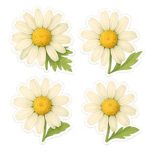 Set di adesivi con margherite, adesivi con fiori, margherite, decorazioni floreali, adesivi con piante, motivo naturale, decorazioni da giardino, adesivi primaverili