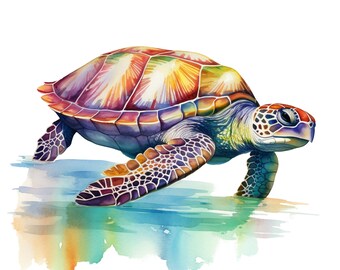 ウミガメステッカー 3枚セット 水彩画ステッカー 海モチーフ ウォール