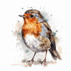 Robin sticker, Christmas bird sticker, winter bird motif, nature sticker, bird illustration, robin decoration, winter decoration