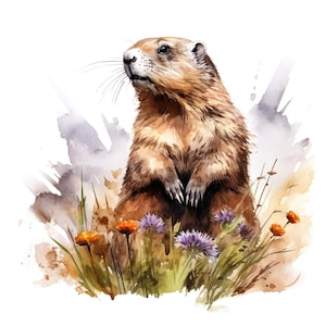 Naklejka akwarelowa Marmot Dostosowywalna naklejka winylowa na zewnątrz