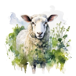 Pode incluir: Ilustração em aquarela de uma ovelha em pé em um campo de folhagem verde. A ovelha tem lã branca, um nariz rosa e olhos castanhos. O fundo apresenta suaves aguadas de aquarela azuis e verdes.